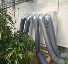 6제주시 한경면 낙천리(망고)