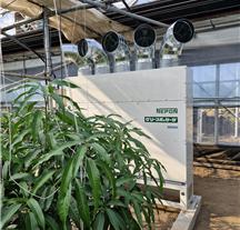 4제주시 한경면 청수리(망고)